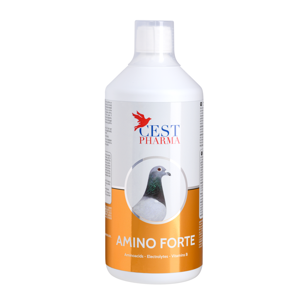 AMINO FORTE 1000ML