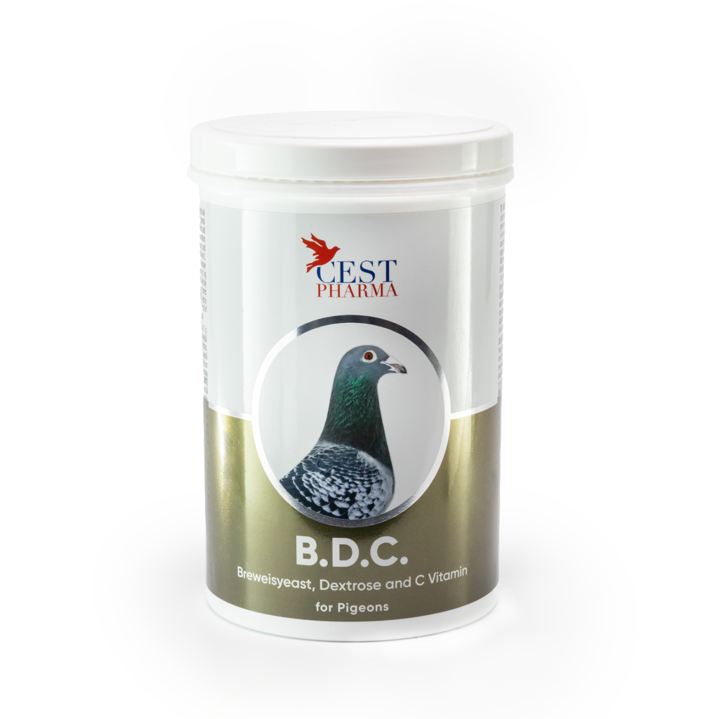 BDC 600G – Brewer’s Yeast, Dextrose, & Vitamin C for Recovery