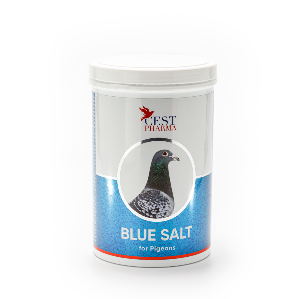 BLUE SALT 1000G