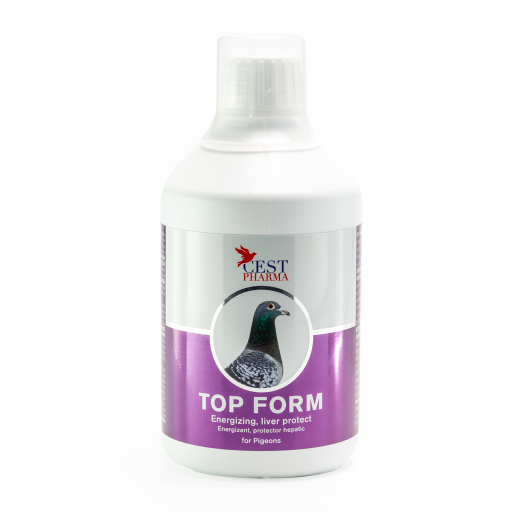 TOP FORM – 500ML