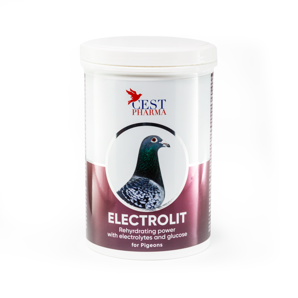 ELECTROLIT – 600G