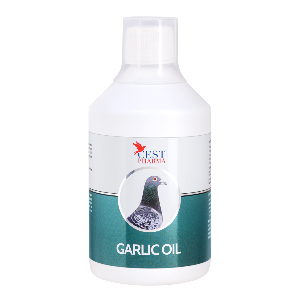 GARLIC OIL 500ML