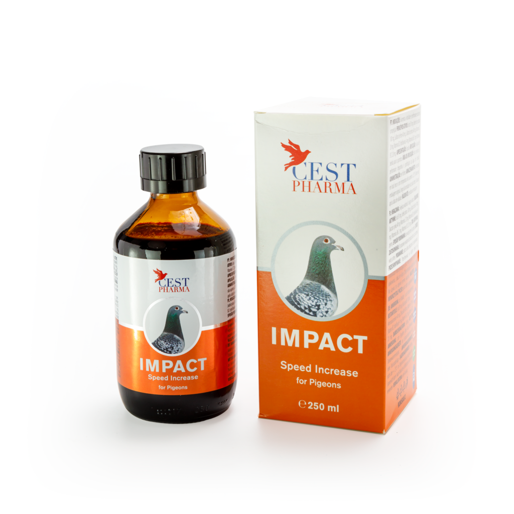 IMPACT 250ML – High Energy Tonic for Pigeon Racing & Breeding