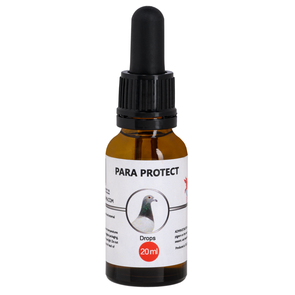 PARA PROTECT – 20ML