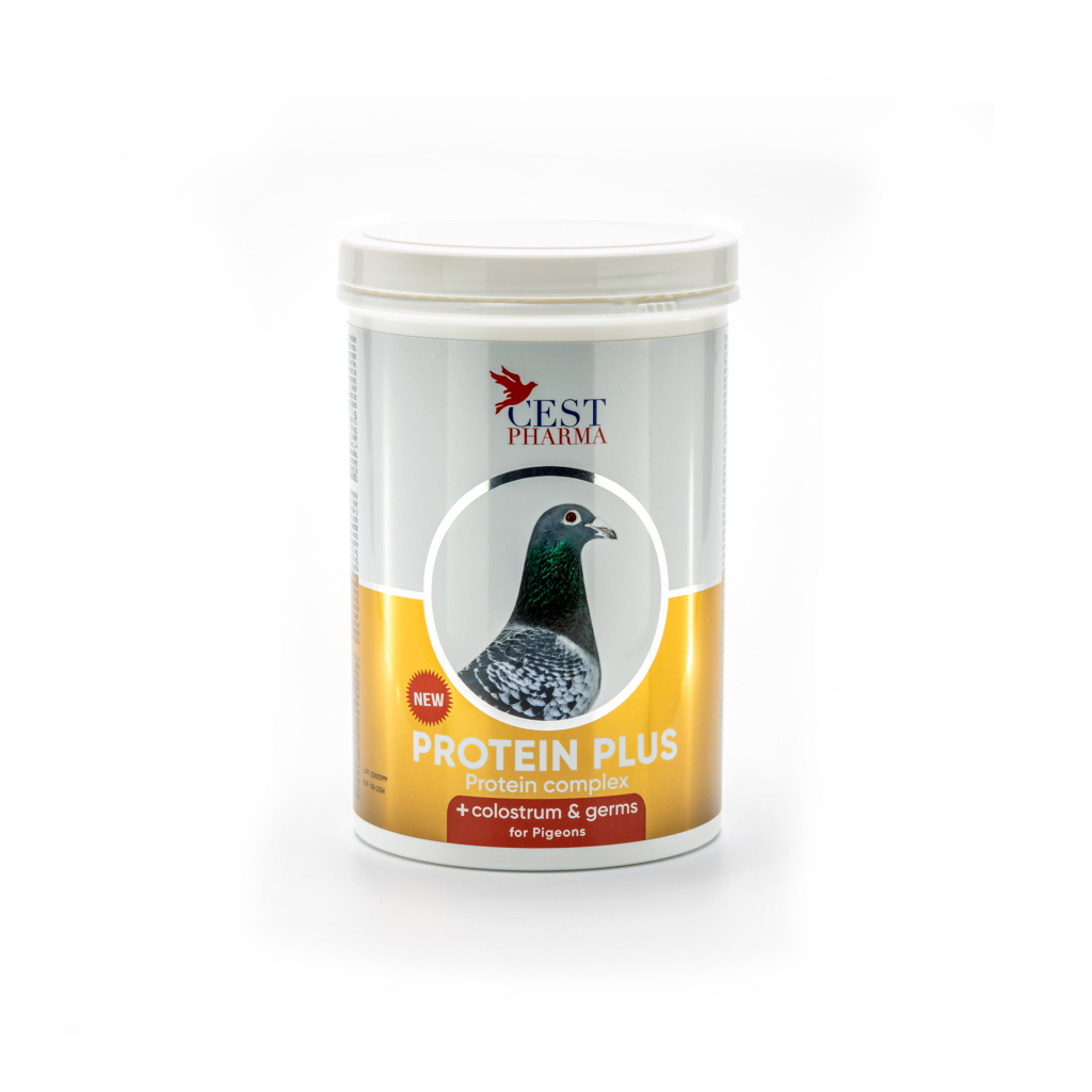 PROTEIN PLUS 600G – Concentrated Protein for Pigeons