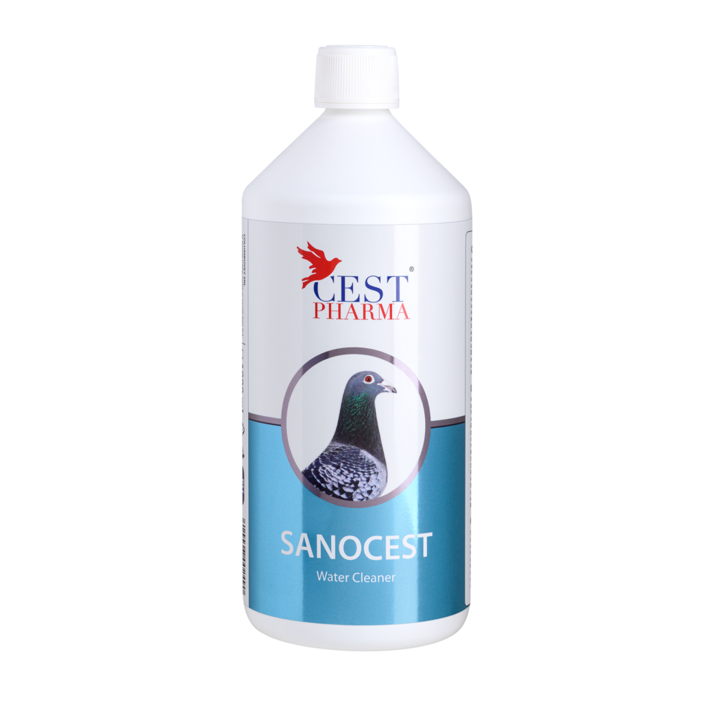 SANOCEST 1000ml – Drinking Water Disinfectant for Pigeons