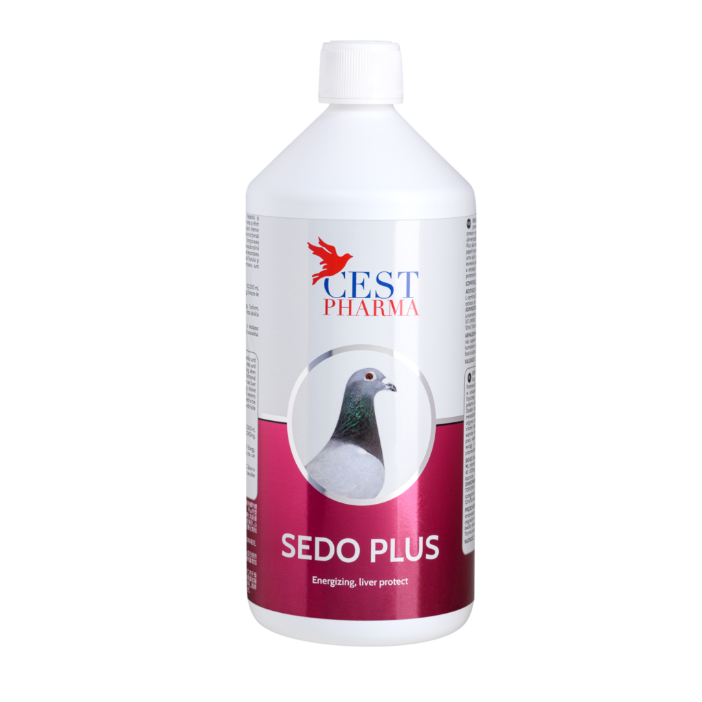 SEDO PLUS 1000ML – Increases Energy & Liver Function