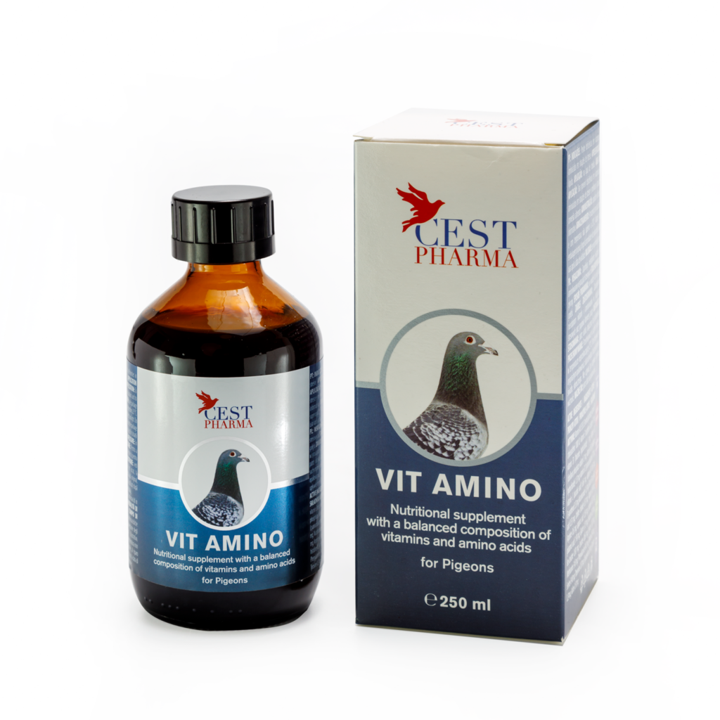 VIT AMINO 250ML – Vitamins & Amino Acids for Pigeons