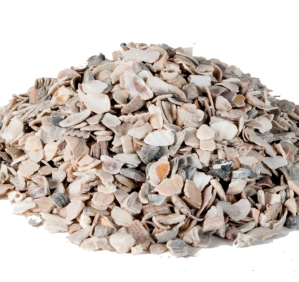 Oyster Shell Grit – 50lb