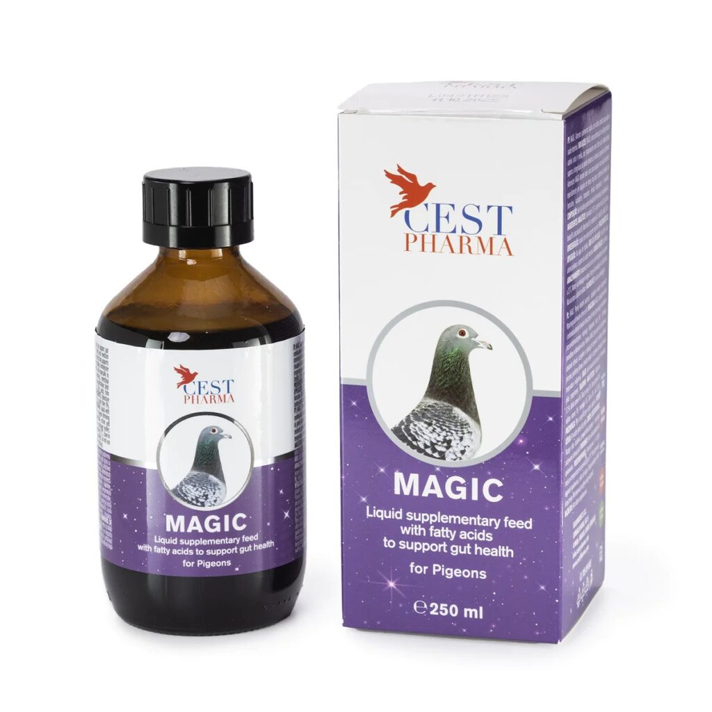 Magic – for Excellent All-Year Health